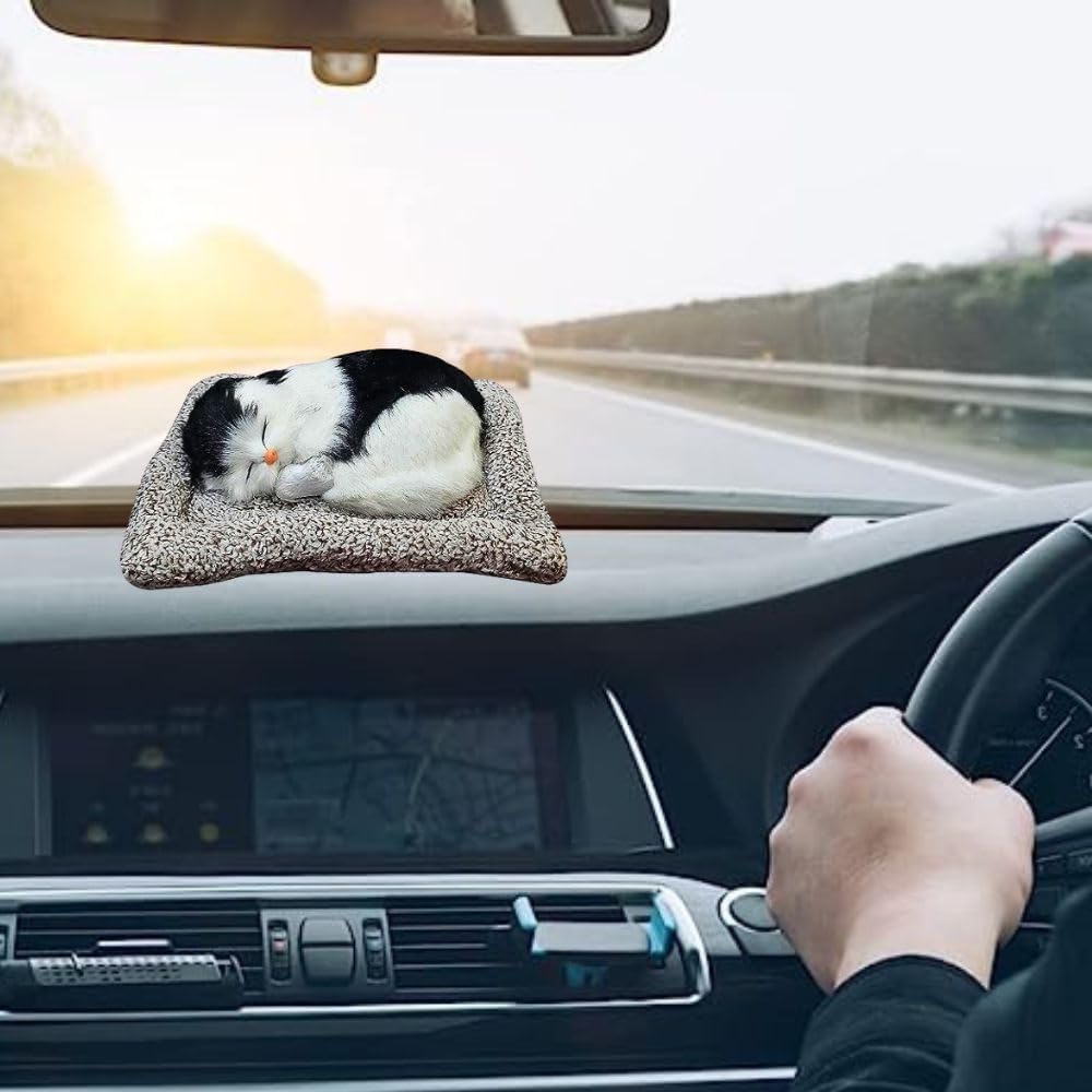 Cute Cat Dashboard