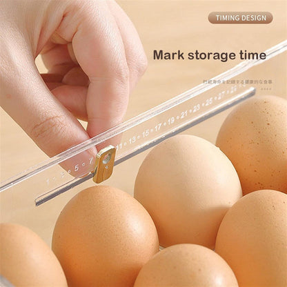 Egg Storage Box (fits up to 30 eggs)