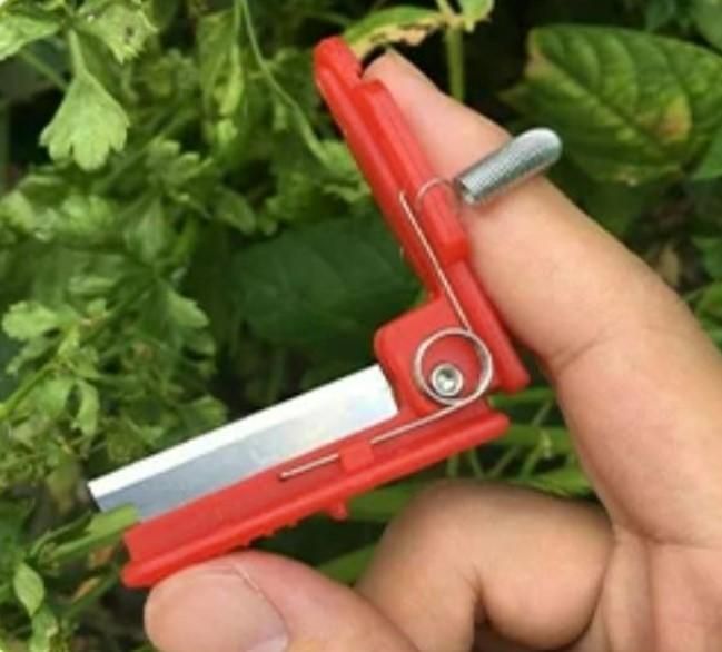 Knife Grafting Thumb Harvesting Tool