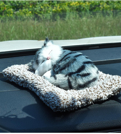 Cute Cat Dashboard